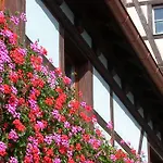 Logis-cit'hotel Des Vosges 5 Rue De La Gare Hotel