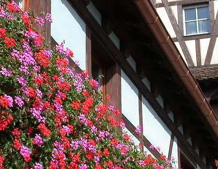 Logis-cit'hotel Des Vosges 5 Rue De La Gare Отель