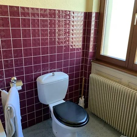 Отель Cit'hotel Des Vosges - 5 Rue De La Gare Оберне